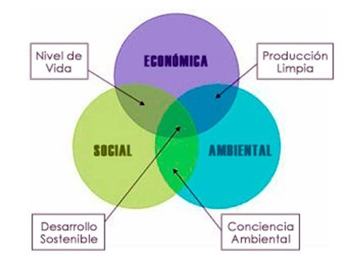 triangulo sostenibilidad moda sostenible